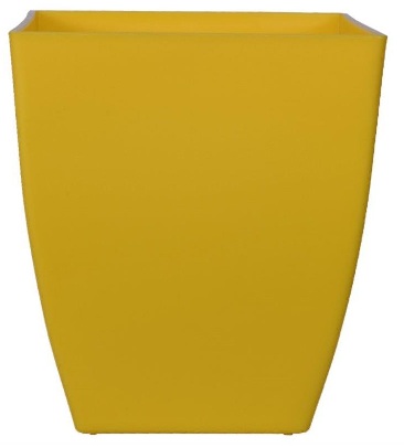 Chatura - 12 Yellow